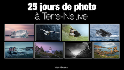 25 Jours de photo à Terre Neuve par YKP copie