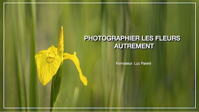 Conf fleur copie web