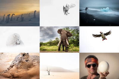 voyage photo privatise copie