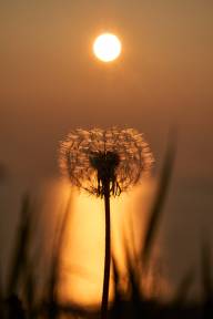 Germain Stephane Nature matinale