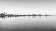 Roy Cécile Ligne de silence