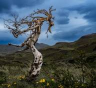 Nature Pierre Boisjoly