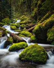Nature Pierre Giard