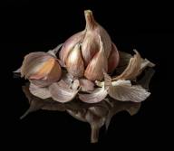 Nature morte Dany Langevin
